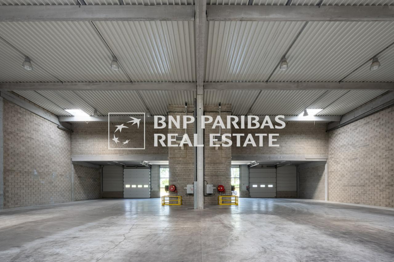Local d'activité Élancourt 534m² Location local d'activité Élancourt Yvelines OLACT2318123 5